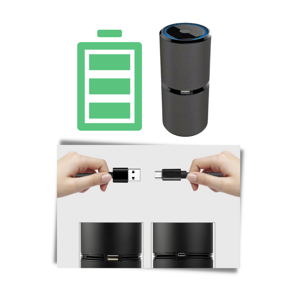 Purificateur d'air ionique