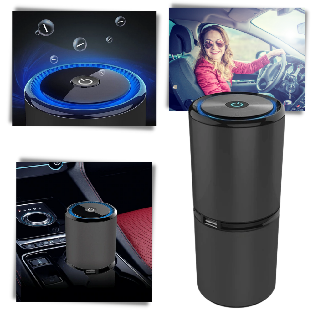 Purificateur d'air ionique