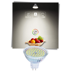 Lot de 3 ampoules LED économique