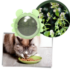 Jouet boule de menthe rotative pour chat