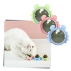 Jouet boule de menthe rotative pour chat