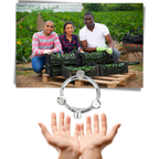 Buse d'arrosage de jardin à trois têtes