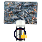 Attractant pour poissons