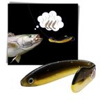 Ensemble d'appâts de pêche artificiels