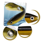 Ensemble d'appâts de pêche artificiels