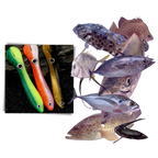 Ensemble d'appâts de pêche artificiels