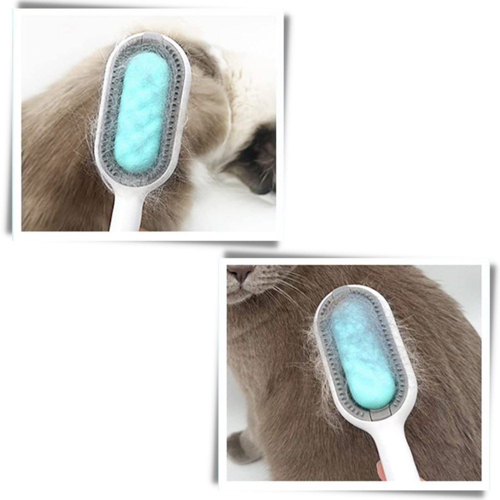 Brosse de toilettage pour animaux