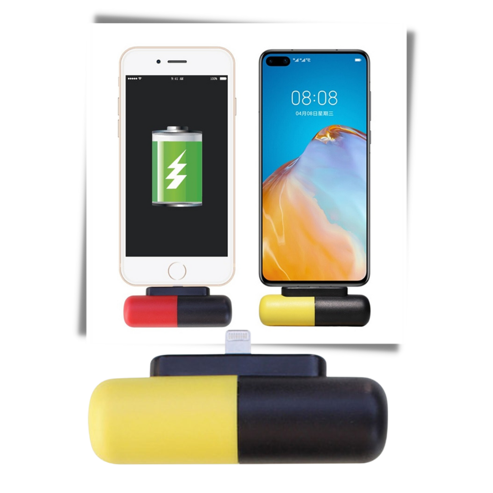 Mini-chargeur portable en forme de capsule