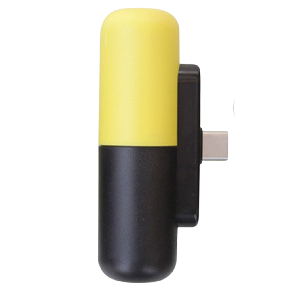 Mini-chargeur portable en forme de capsule