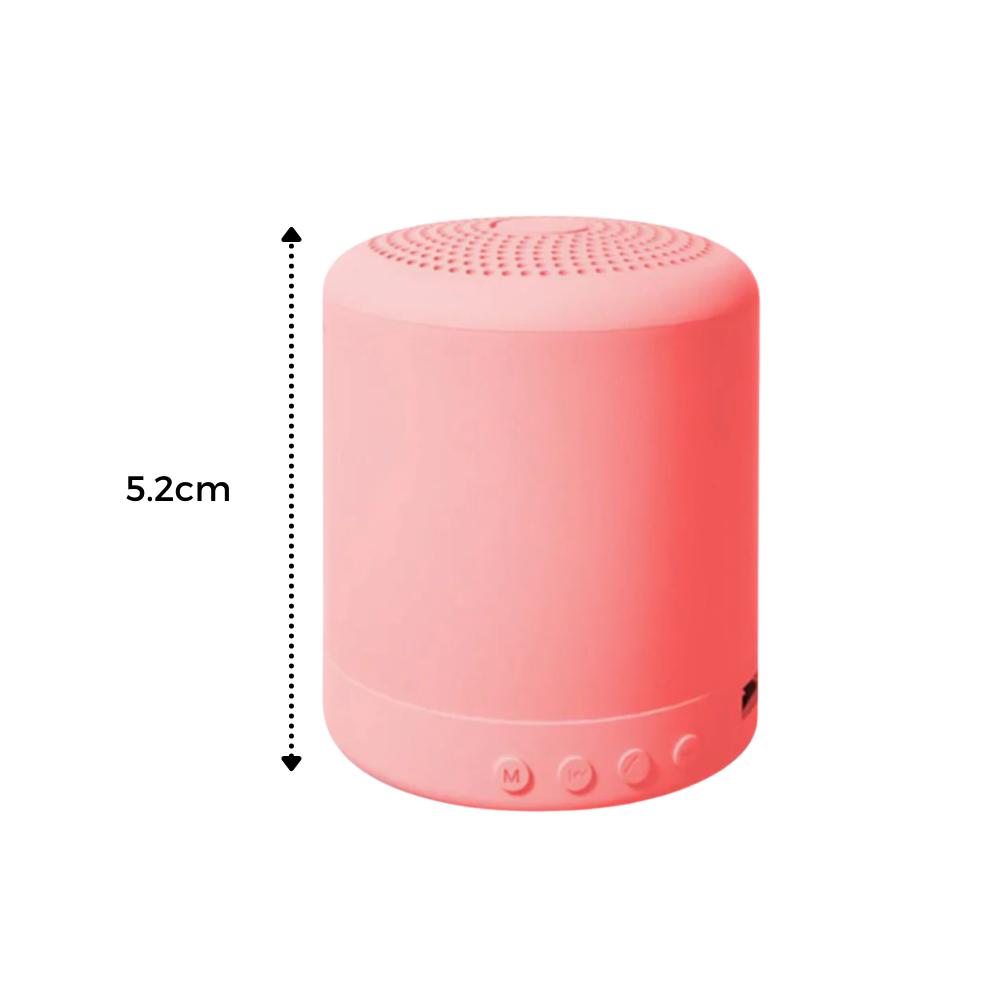 Mini haut-parleur Bluetooth