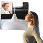 Diffuseur d'huiles essentielles et humidificateur