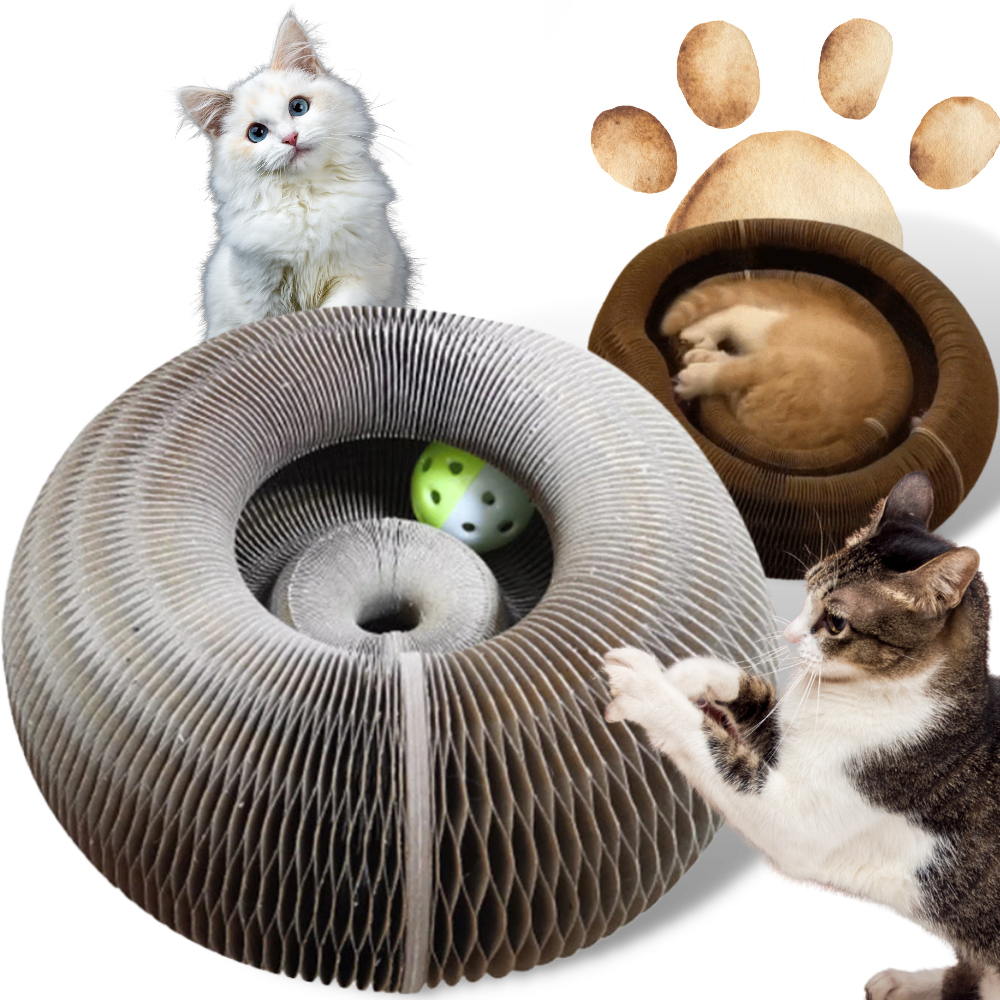 Planche à gratter pour chats