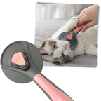 Brosse spéciale pour animaux de compagnie