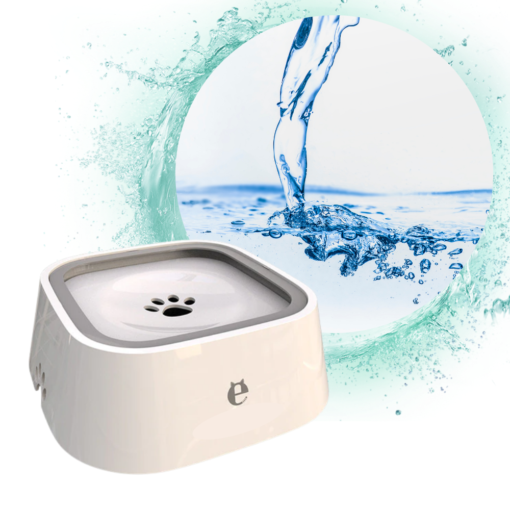Bol d'eau flottant pour animaux