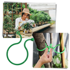 Lot d'attaches pour plantes de jardin