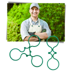 Lot d'attaches pour plantes de jardin