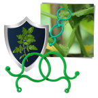 Lot d'attaches pour plantes de jardin