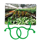 Lot d'attaches pour plantes de jardin