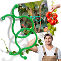 Lot d'attaches pour plantes de jardin