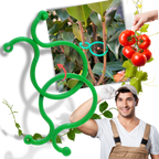 Lot d'attaches pour plantes de jardin