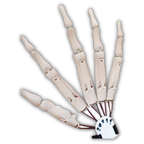 Gants mains de squelette