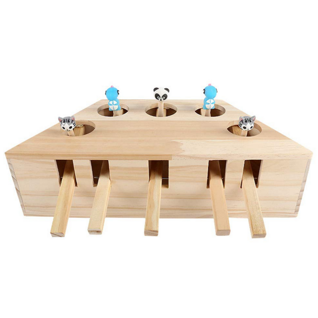 Jouet interactif en bois à 5 trous pour chat