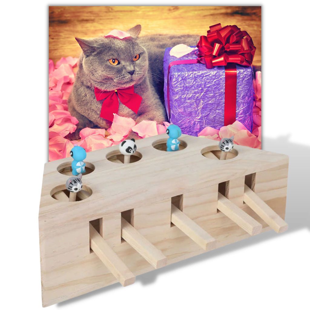 Jouet interactif en bois à 5 trous pour chat