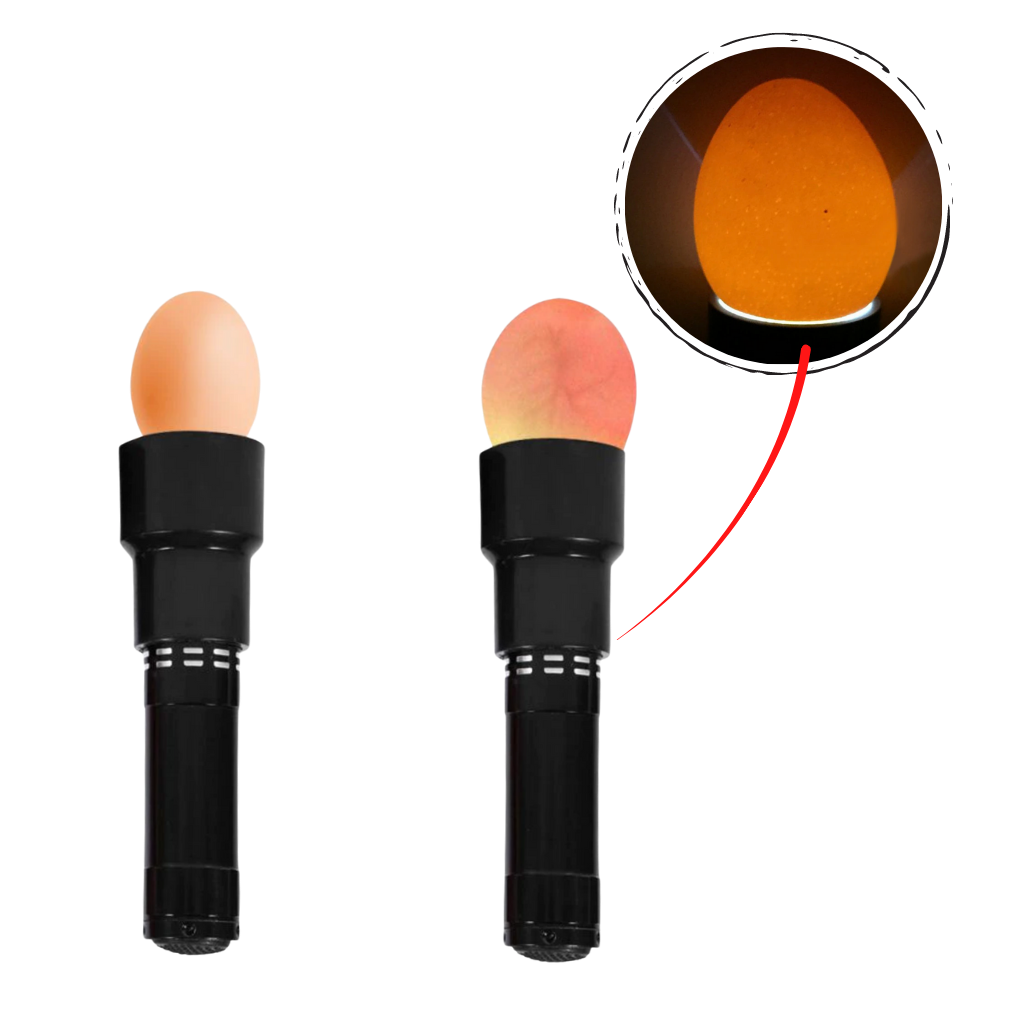 Mire oeuf