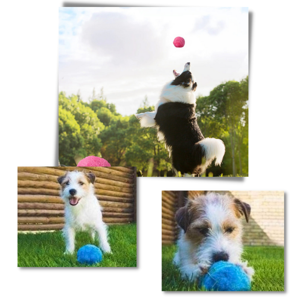 Balle rotative automatique pour chien avec 4 housses