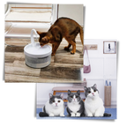 Fontaine d'eau automatique pour chat avec lumière LED