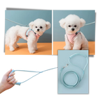 Ensemble harnais et laisse pour animaux