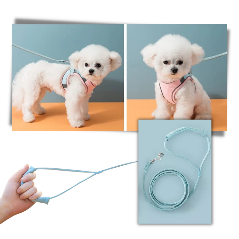 Ensemble harnais et laisse pour animaux
