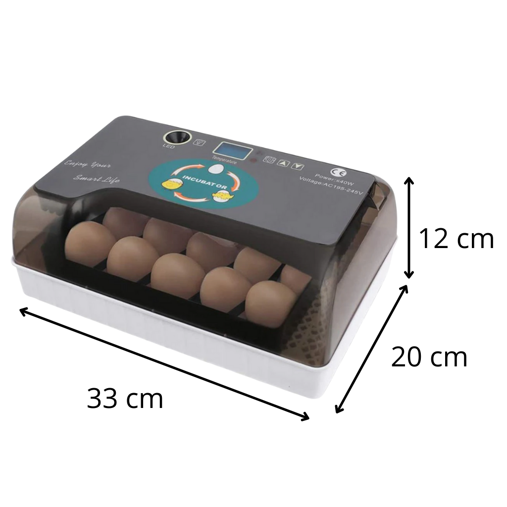 Incubateur automatique d'oeufs