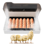 Incubateur automatique d'oeufs