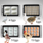 Incubateur automatique d'oeufs