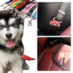 Ceinture de sécurité réglable pour chiens en voiture