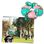 Ballon de frisbee pour chien
