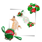 Ballon de frisbee pour chien