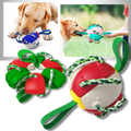 Ballon de frisbee pour chien