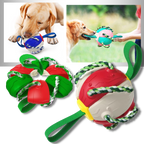 Ballon de frisbee pour chien