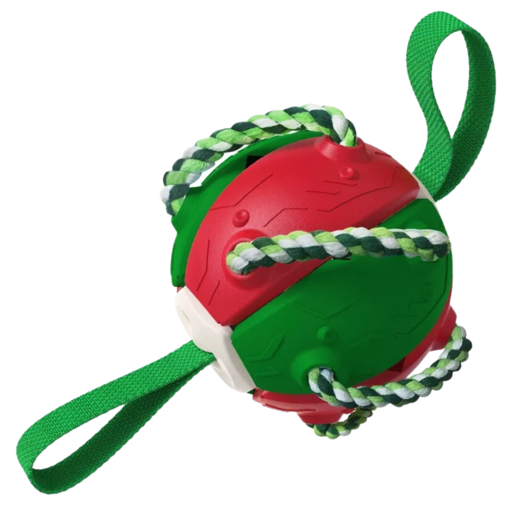 Ballon de frisbee pour chien