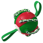 Ballon de frisbee pour chien