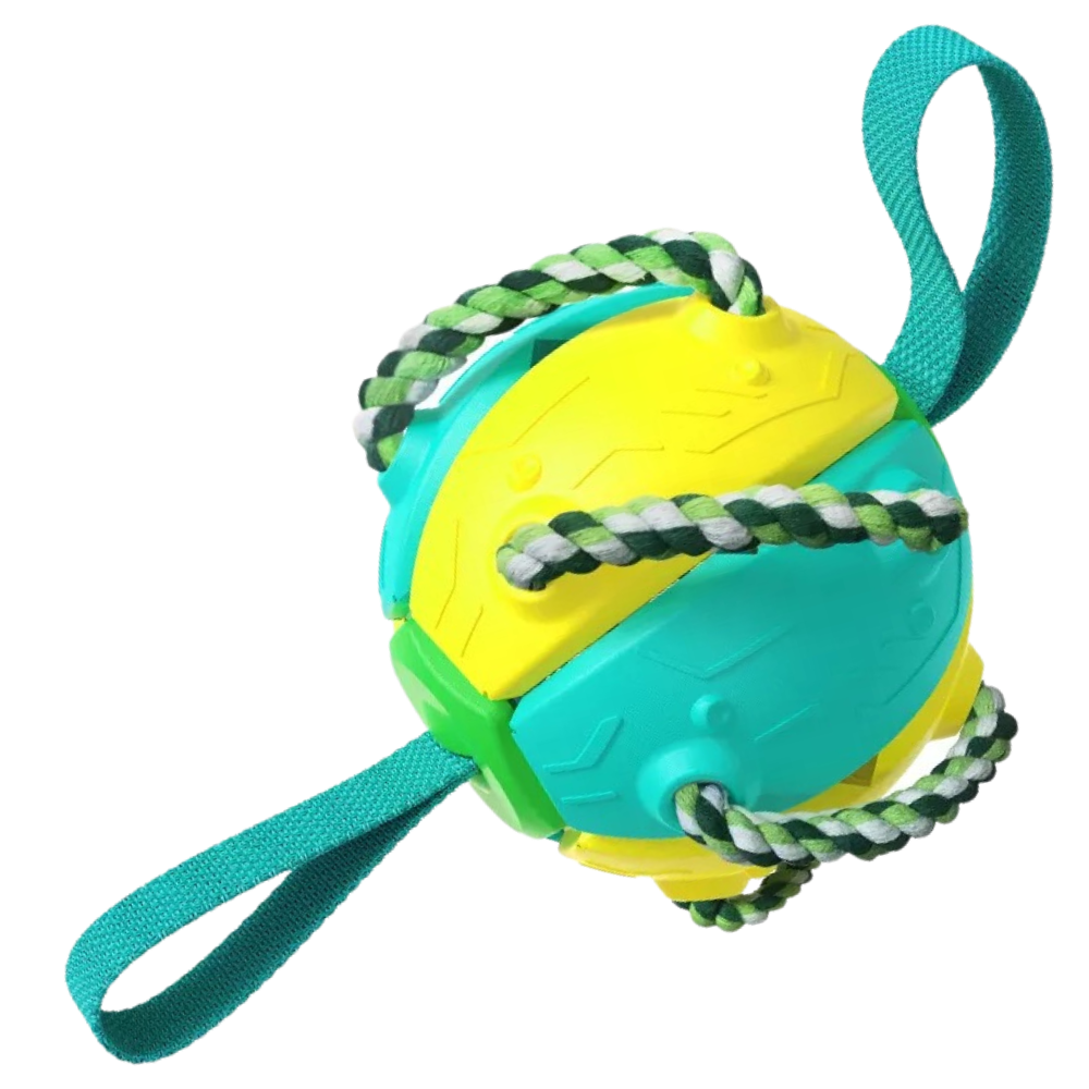 Ballon de frisbee pour chien