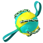 Ballon de frisbee pour chien