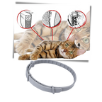 Collier anti-puces pour animaux de compagnie
