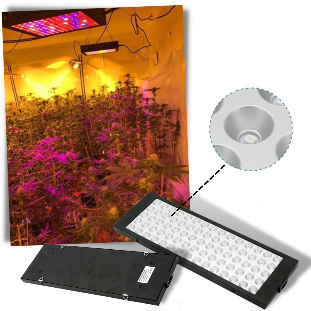 Lampe de culture LED suspendue à spectre complet