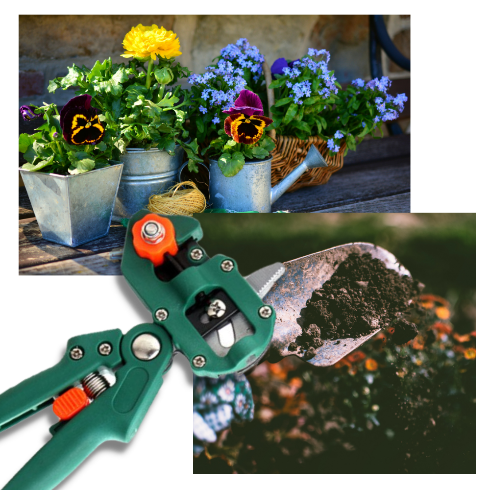 Sécateur de jardin et outil de greffage