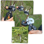 Sécateur de jardin et outil de greffage