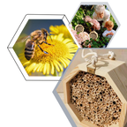 Maison en bois hexagonale pour abeilles