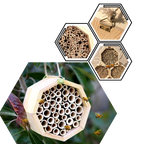 Maison en bois hexagonale pour abeilles
